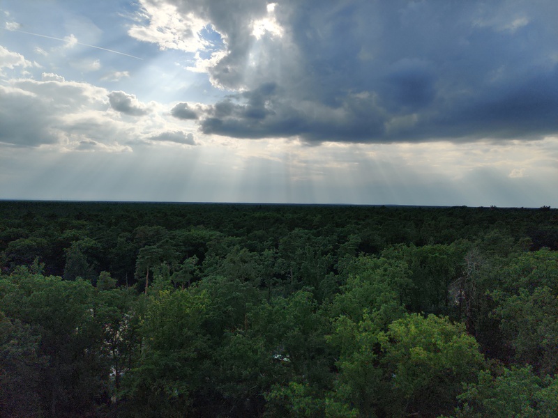 IMG_20250727_174525.jpg