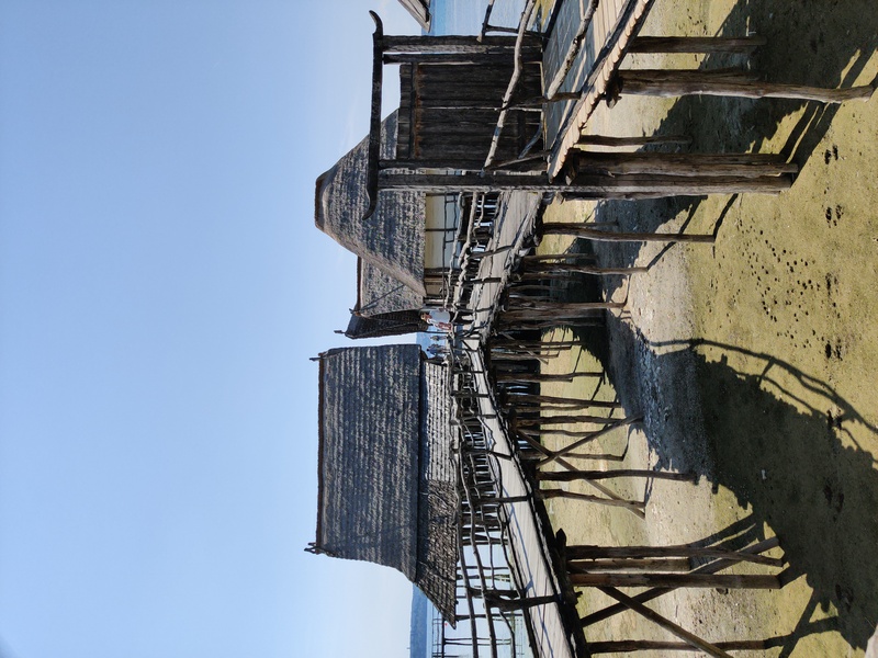 IMG_20260815_145521.jpg