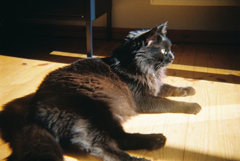 R1-09373-0023.jpg